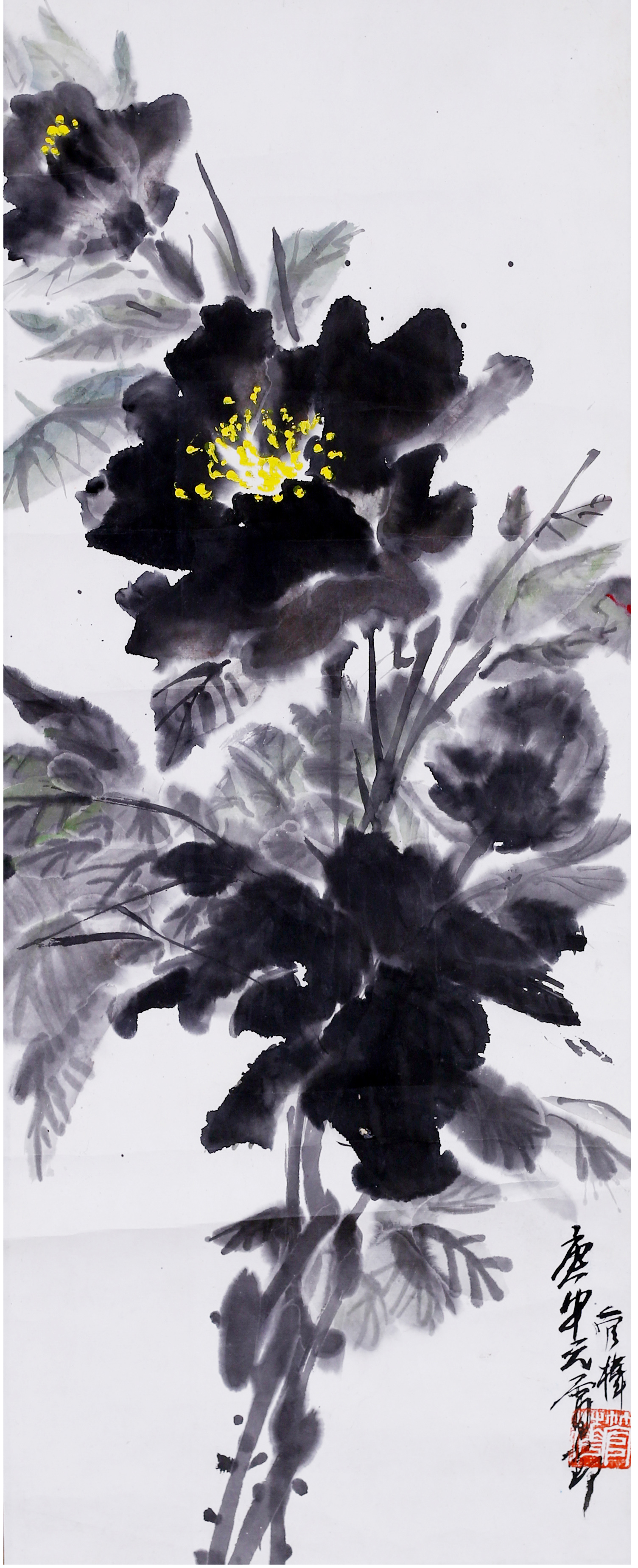 [260]管桦  花卉