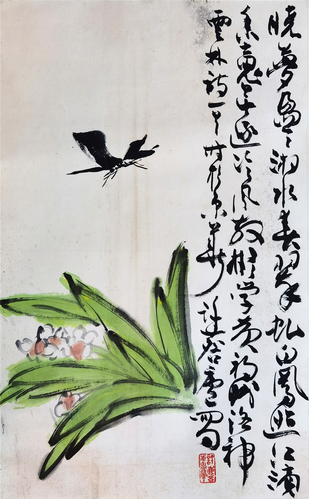 许麟芦   蝶兰图