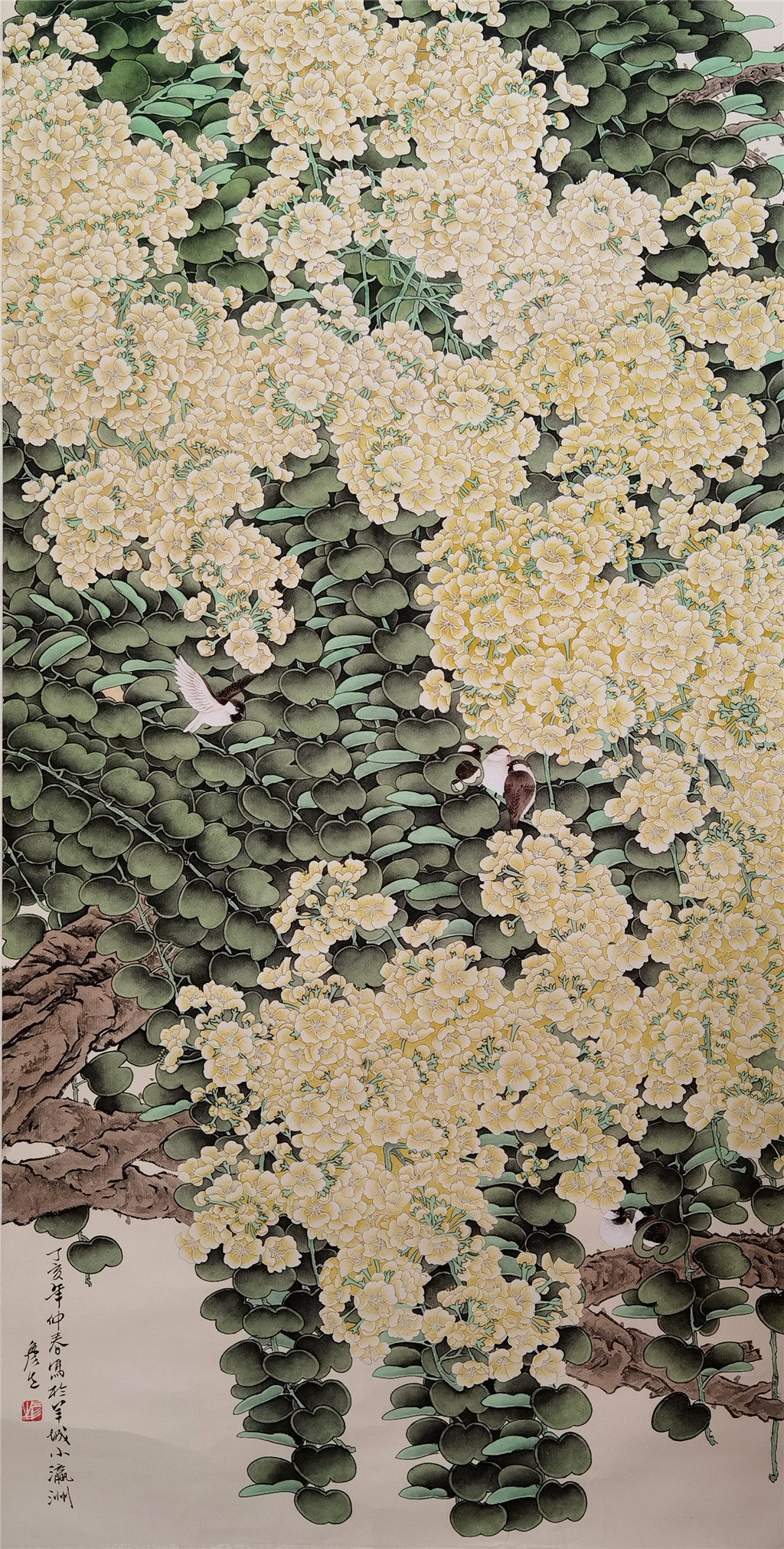周彦生   花鸟 